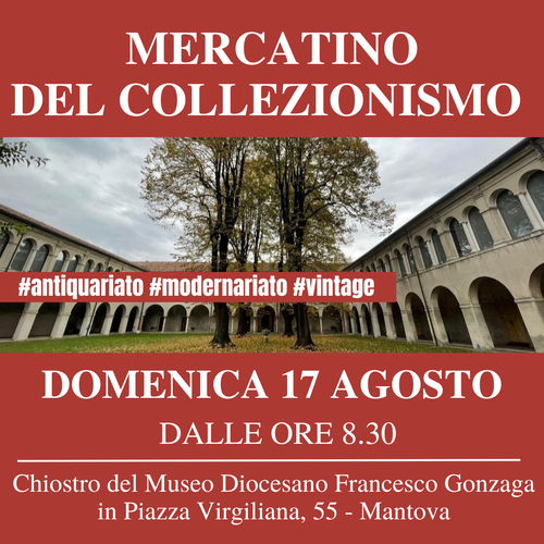 Anteprima mostra S. Agnese